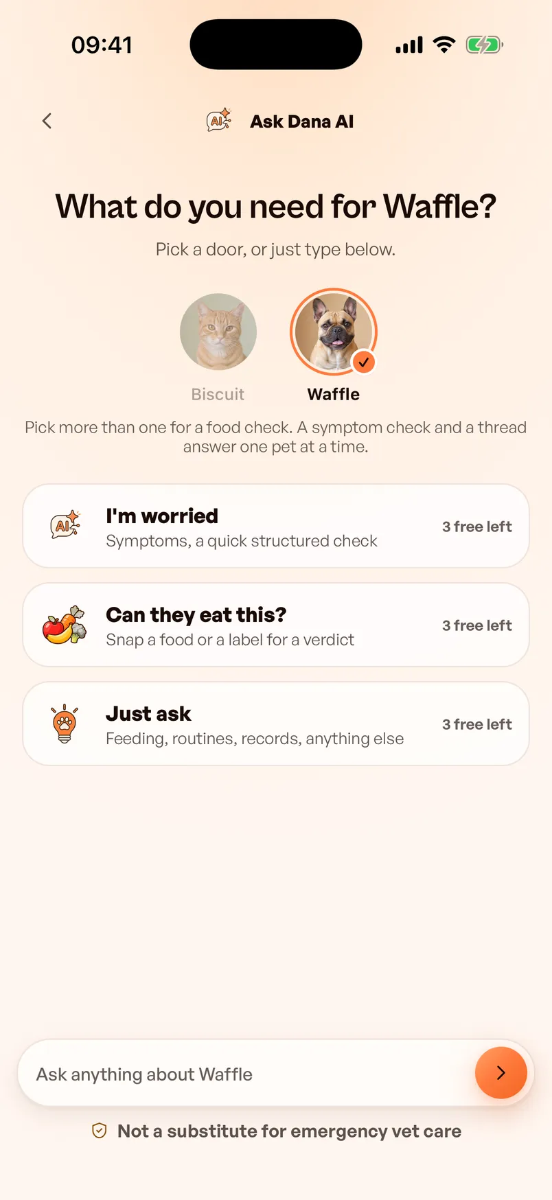 Dana AI's start screen for Waffle, with three choices: I'm worried for a symptom check, Can they eat this? for a food or a label, and Just ask for feeding, routines and records