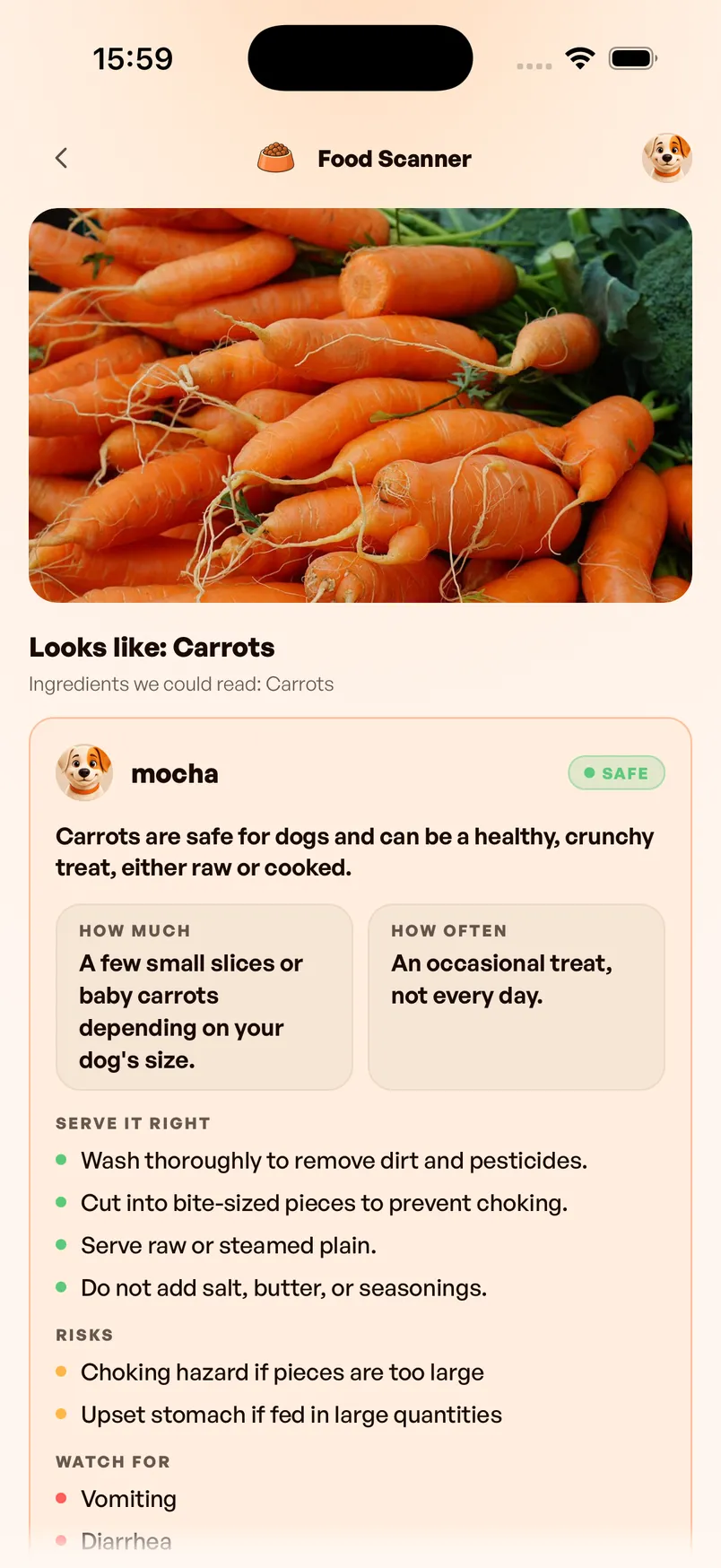 The Dana Food Scanner showing a photographed bunch of carrots, read as Carrots, with a Safe verdict for the dog mocha beside how much and how often to serve them